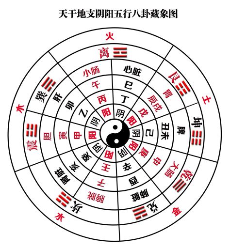 五行方向|五行与方位是怎么确定对应关系的？